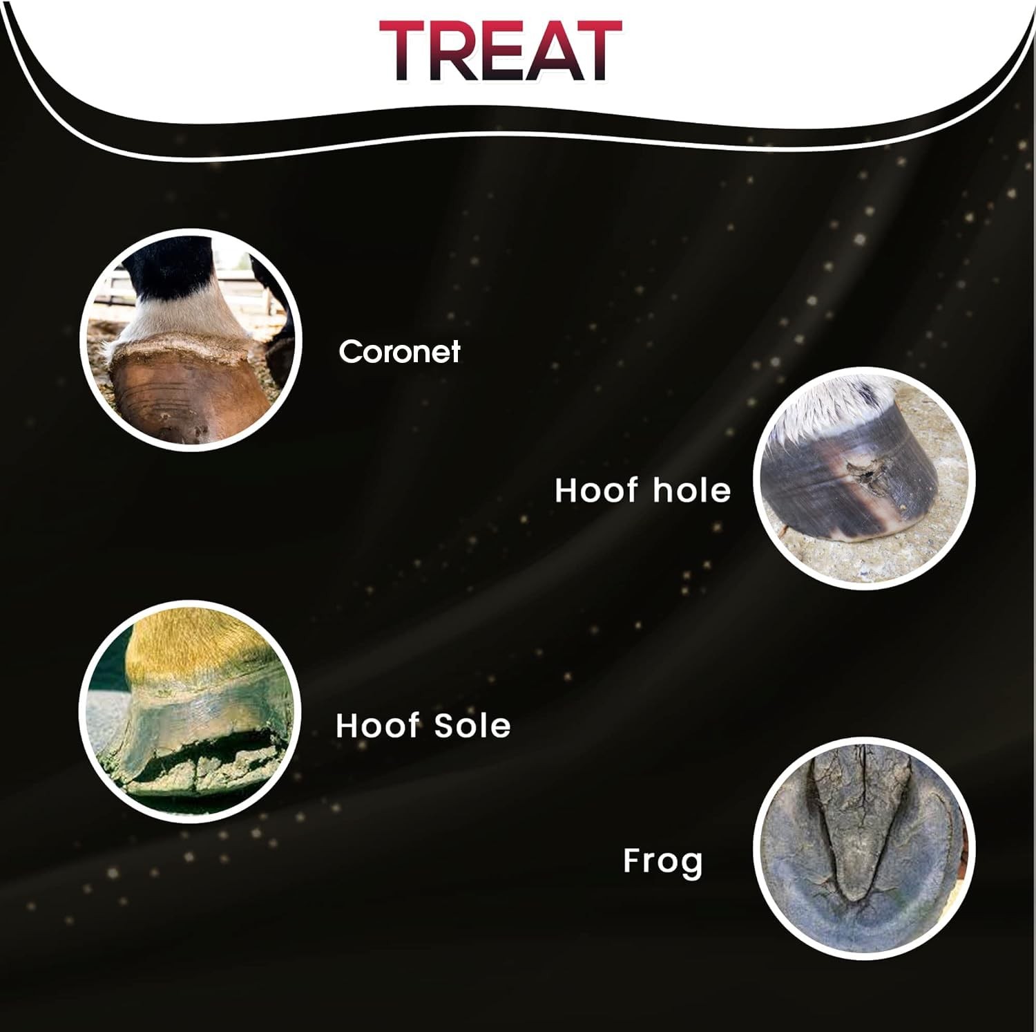 SBS Equine Spray | Hoof Treatment Provides Antiseptic Barrier Against Infecti…