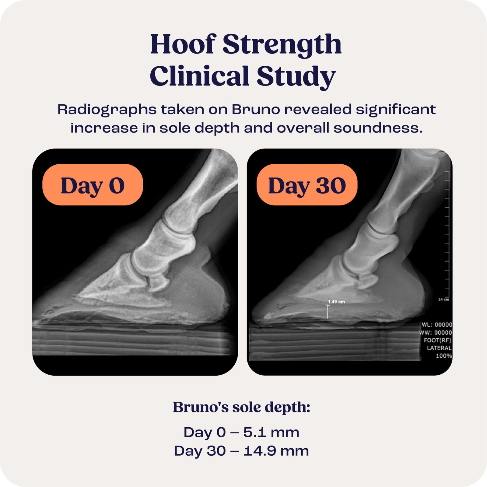 Summit Equine Hoof Strength Powder for Horses, Promotes Healthy Hooves with B…