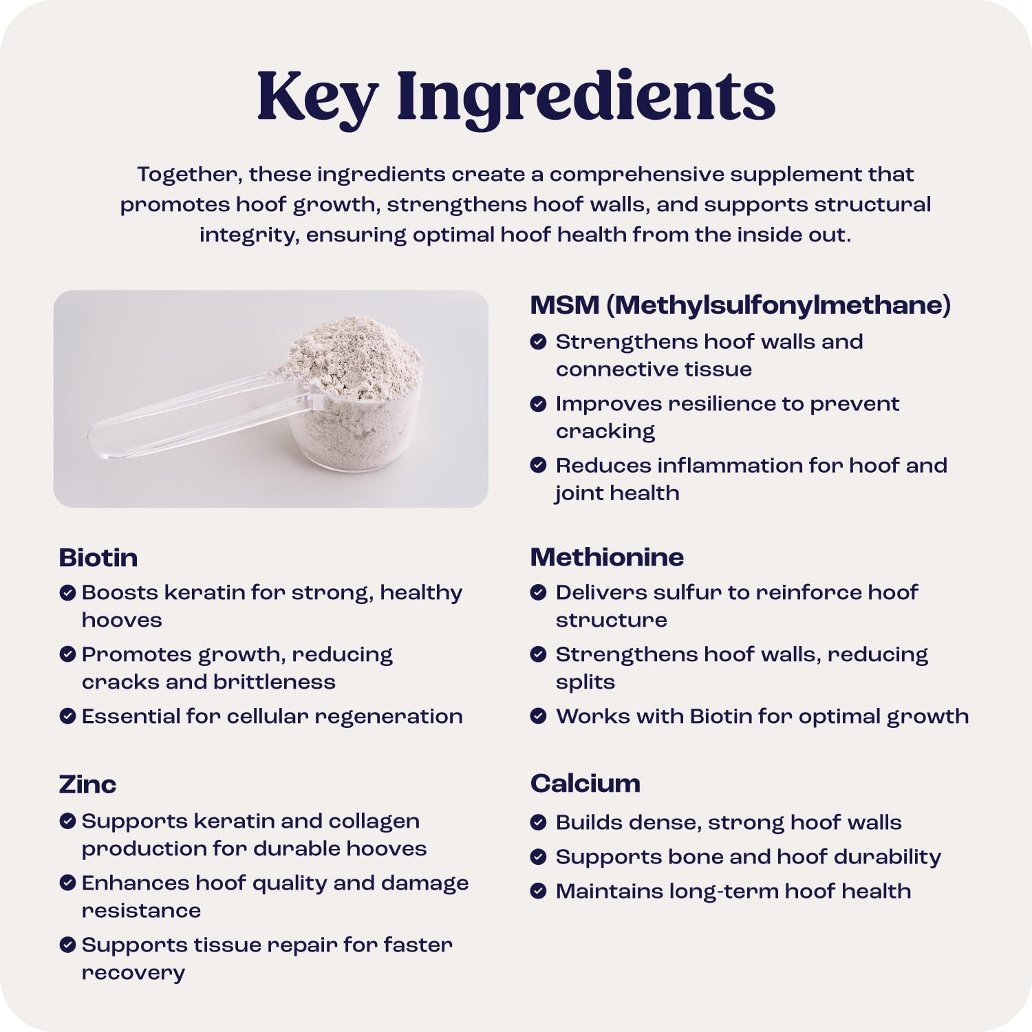 Summit Equine Hoof Strength Powder for Horses, Promotes Healthy Hooves with B…