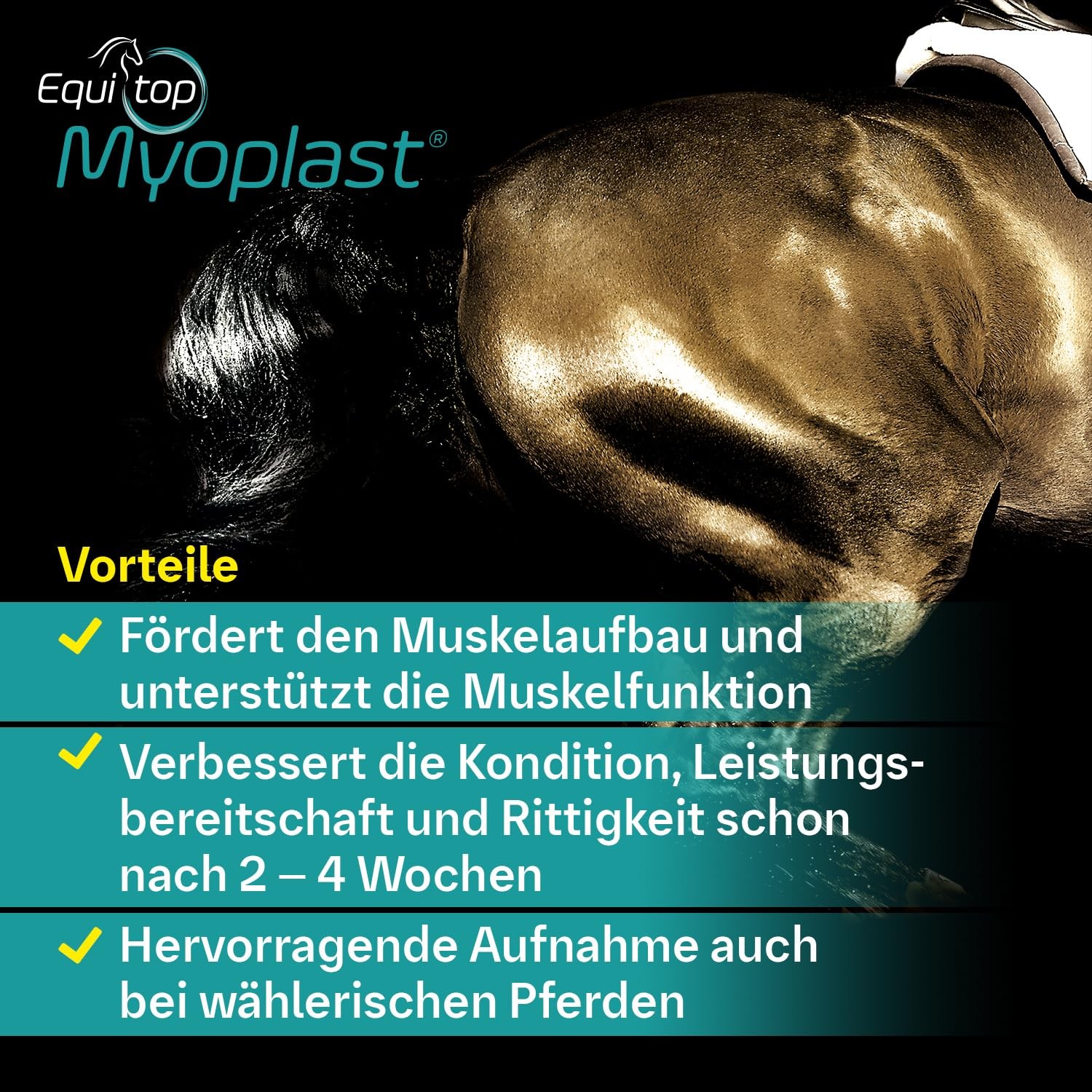 Myoplast Supplement for Horses 1.5kg