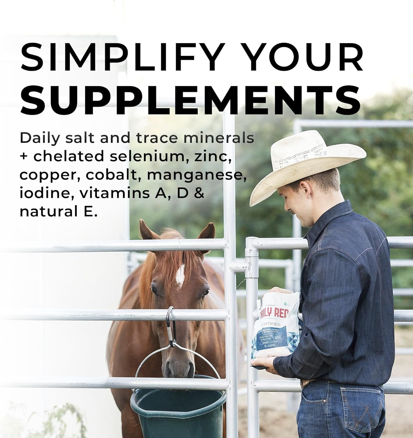 Daily Red Complete Wellness, Fortified Mineral Mix Supplement for Horses, 25Lb R