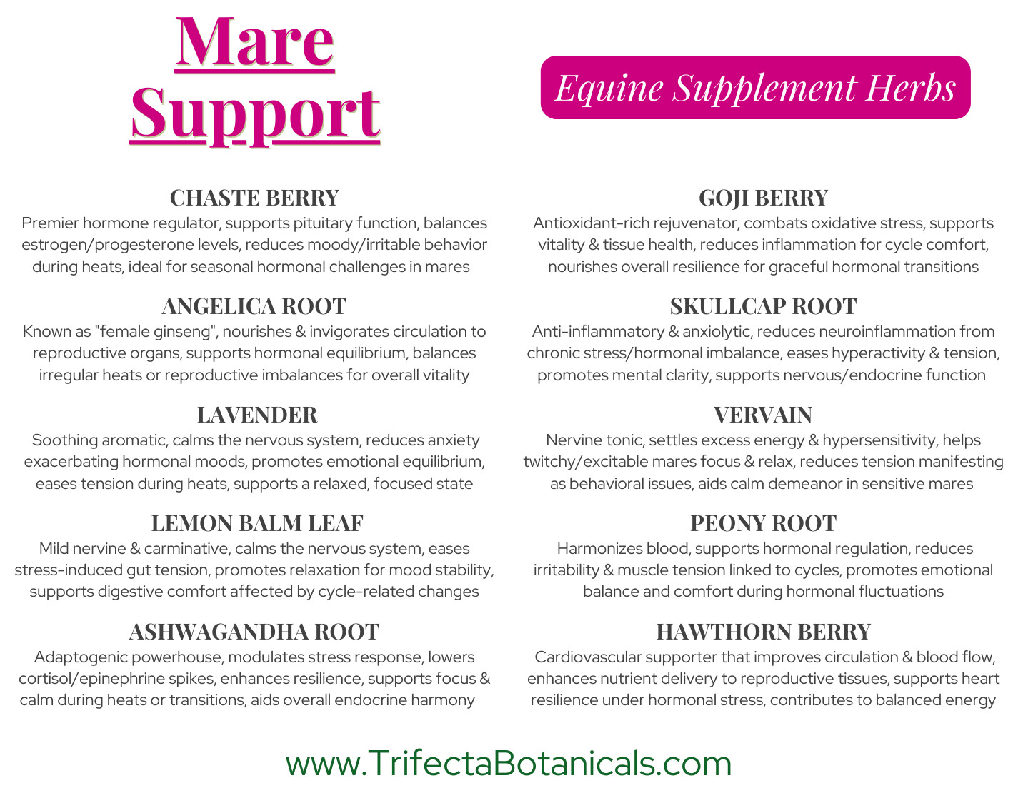 Moody Mare Support Herbal Horse Supplement – Natural Blend for Hormonal Balance