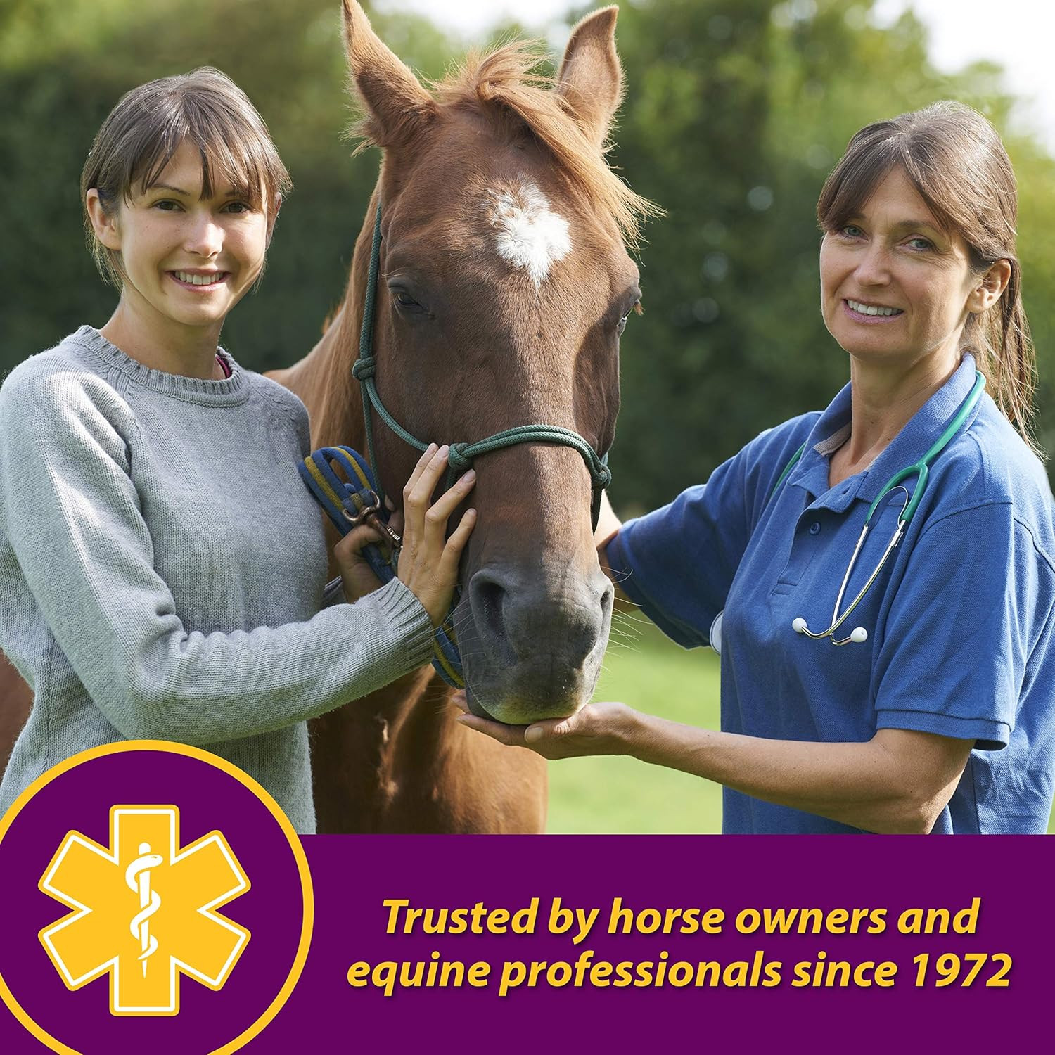 Farnam Red Cell Pellets, Vitamin-Iron-Mineral Supplement for Horses, Helps F…