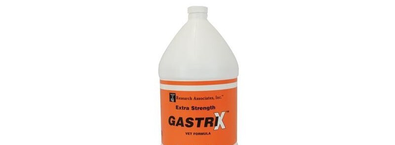 Gastrix 64 oz Digestive Horse Equine Hindgut Foregut