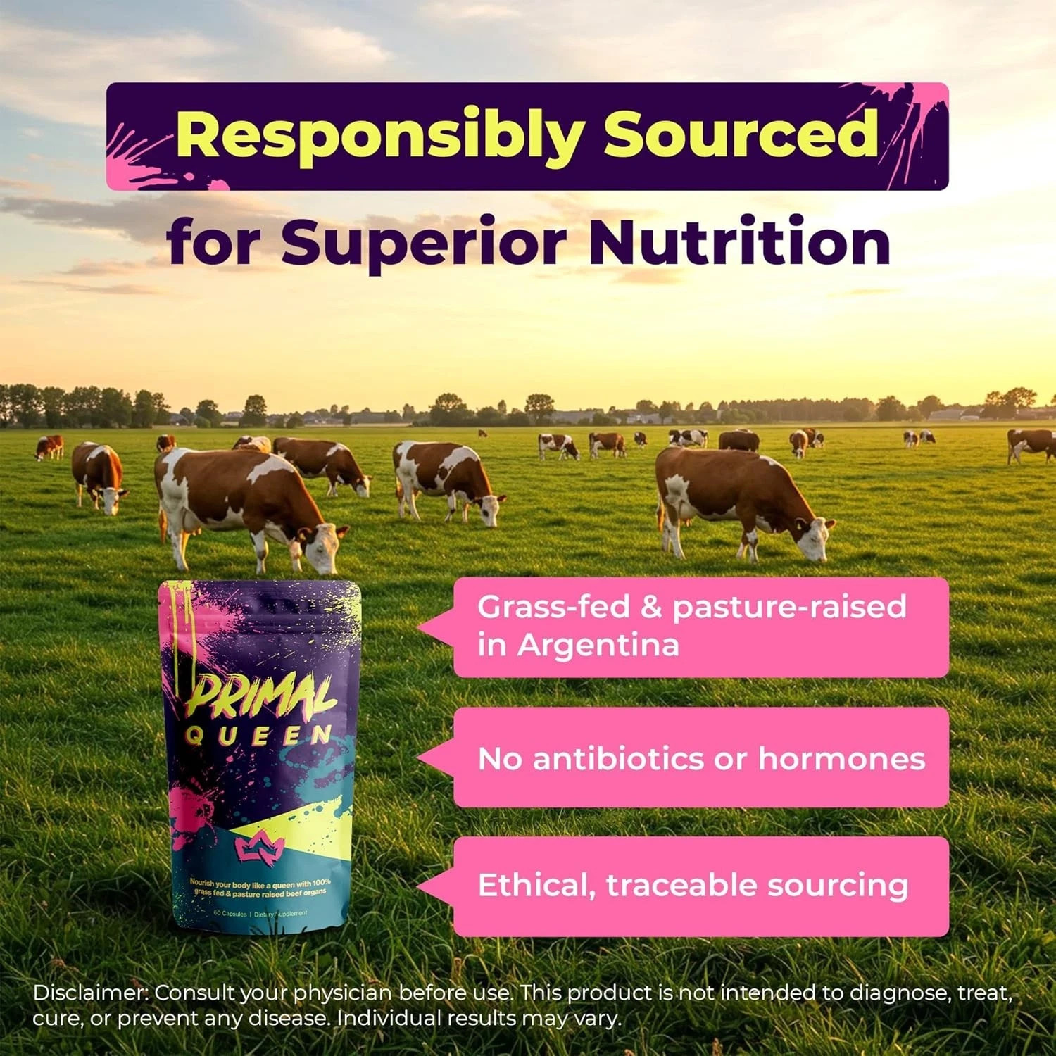 Primal Queen Female-Optimized Beef Organ Superfood Supplement (Heart, & 3 More)