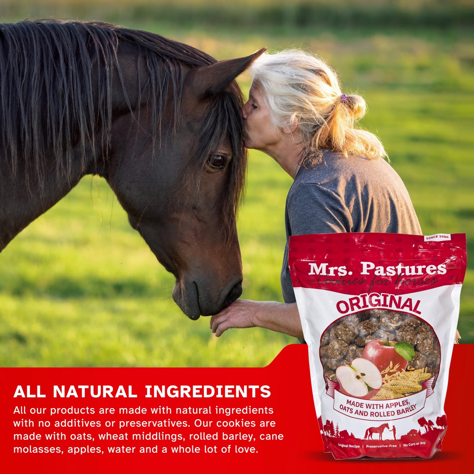 Mrs. Pastures Cookies for Horses – (15lb Refill Box)