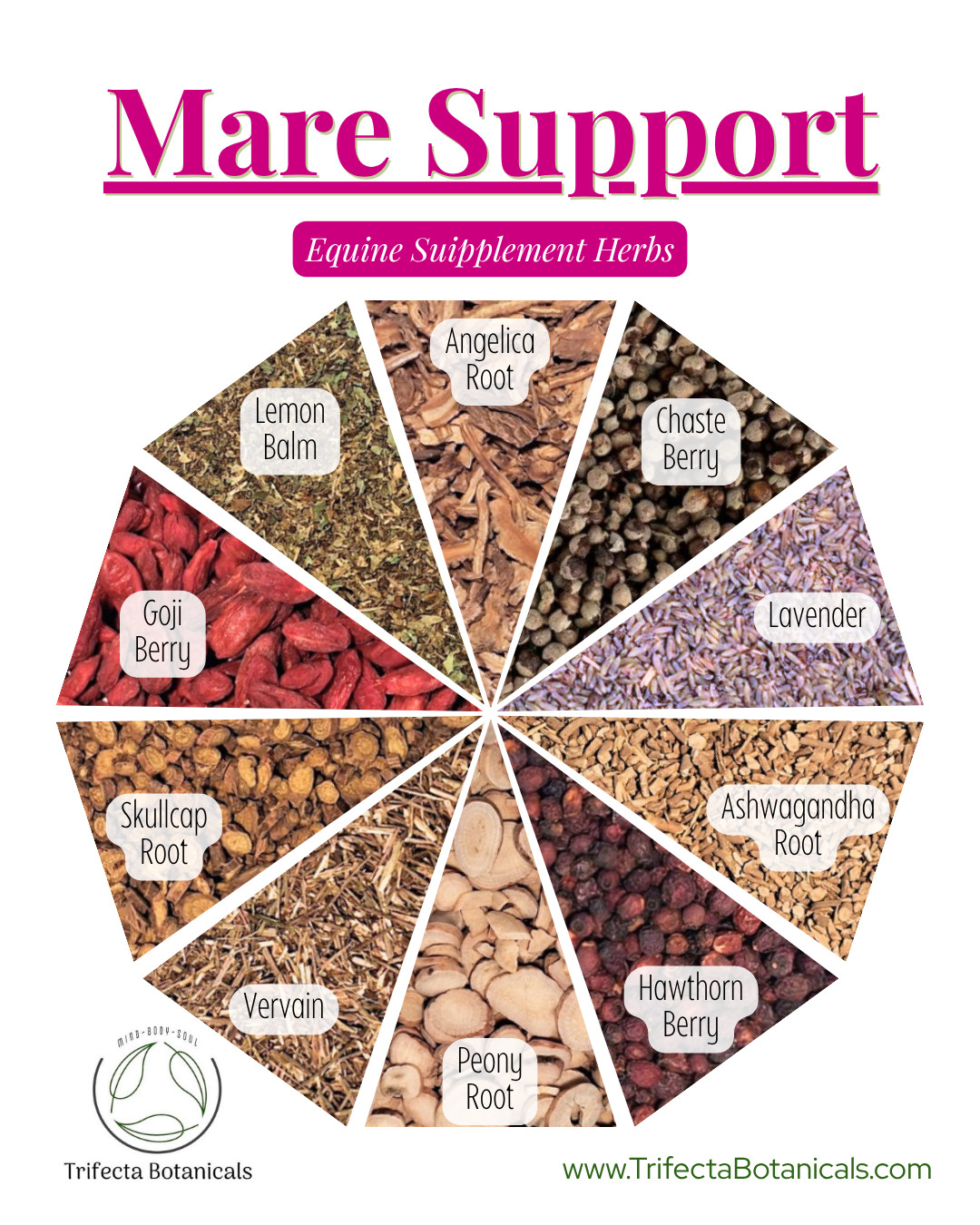 Moody Mare Support Herbal Horse Supplement – Natural Blend for Hormonal Balance