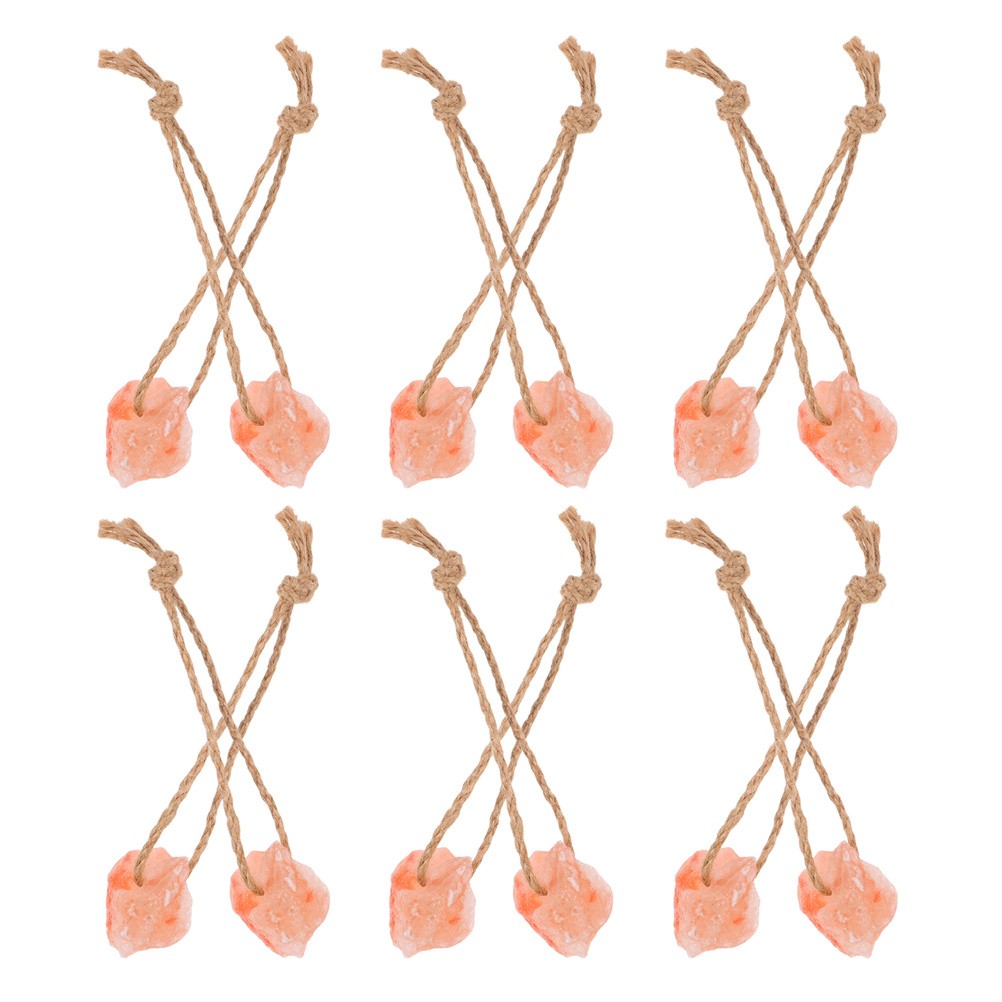 12 Pcs Salt Blocks on Rope Alpaca Chew Toys Cattle Mineral Lick Deer