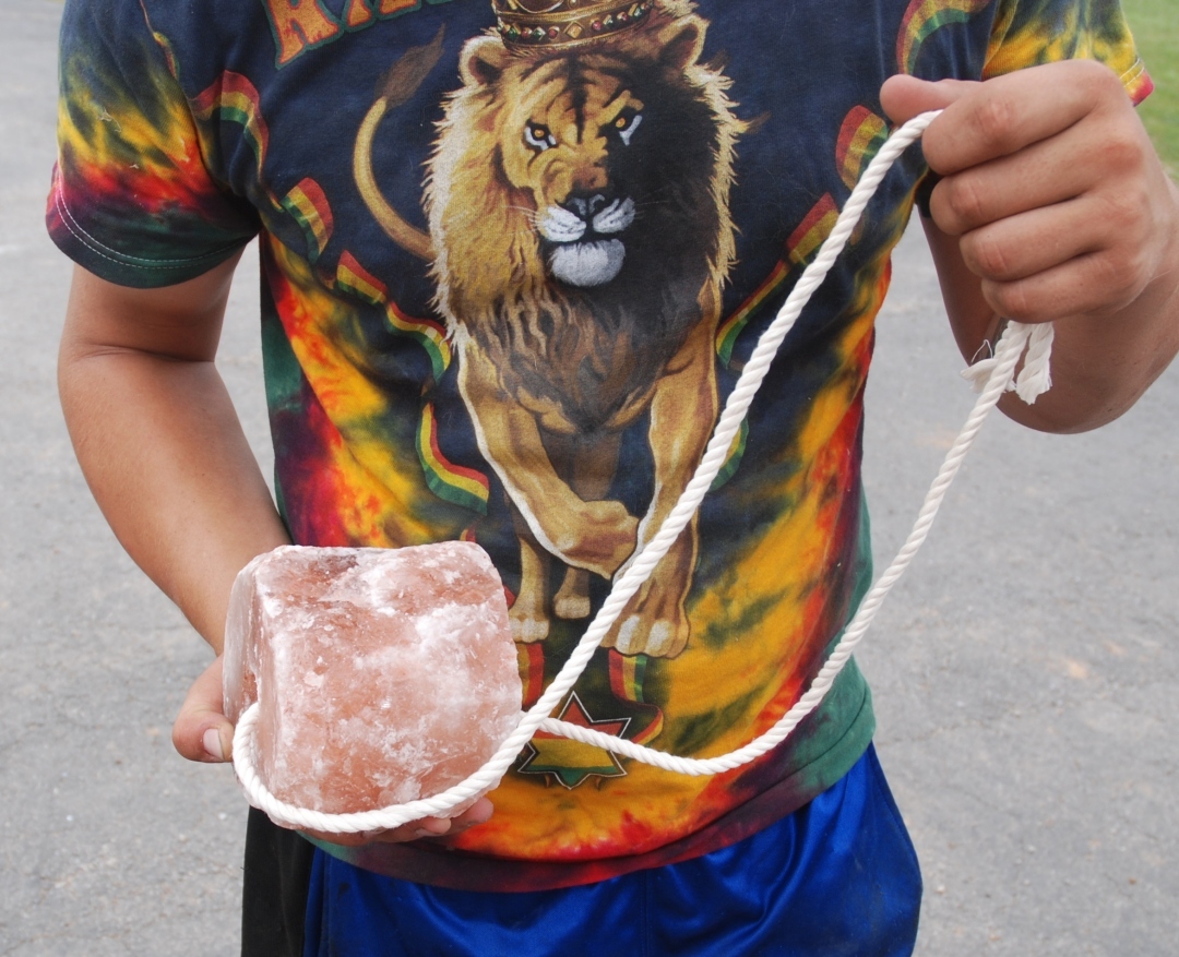 Himalayan Rock Salt Licks – Horses , cows, llamas, all livestock – PURE HEALTHY