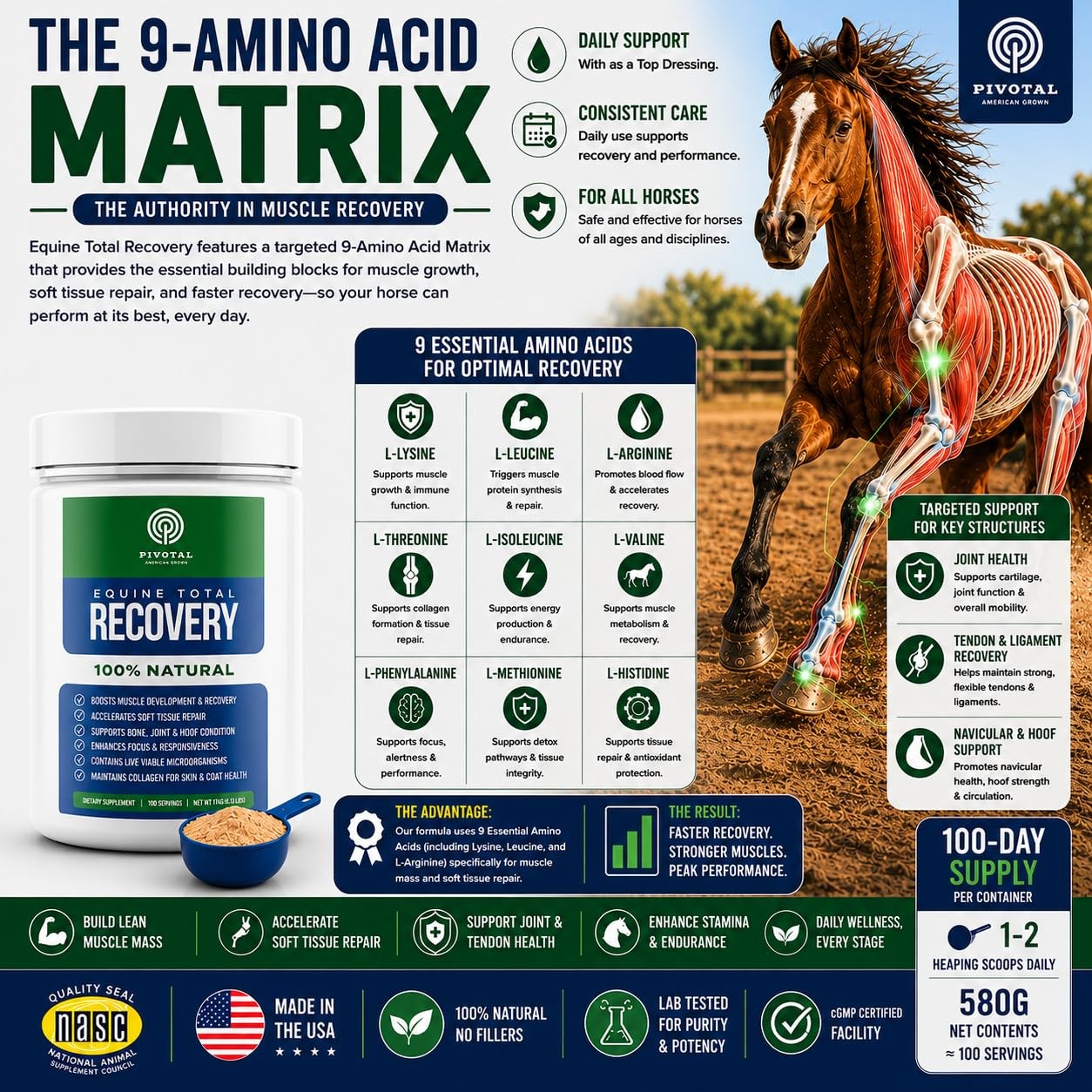 Feeds Equine Total Recovery – 9 Amino Acids & Probiotics for Horses | Muscle …