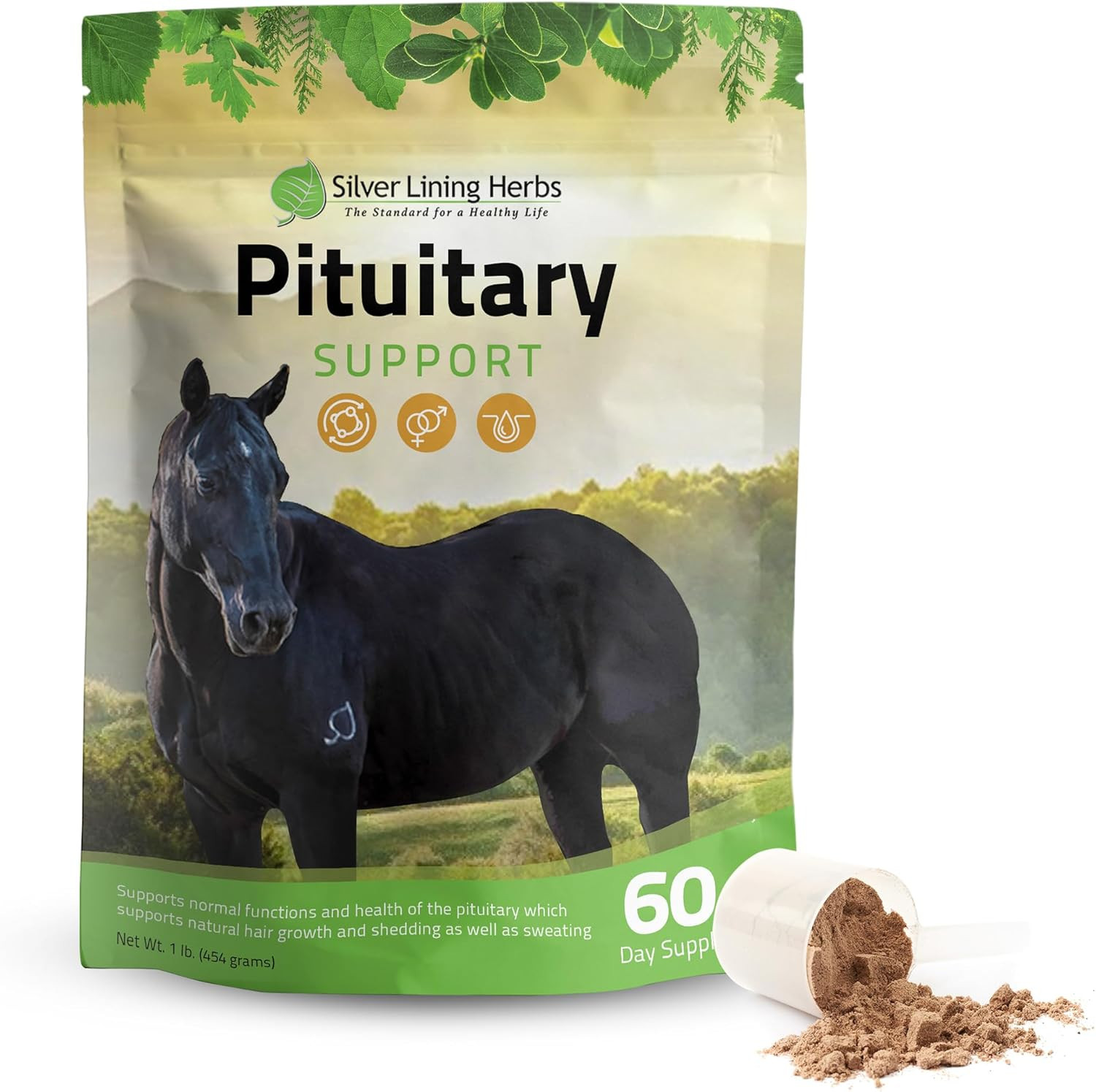 Pituitary Support for Horses – Herbal Equine Supplement for Pituitary, Endocrine