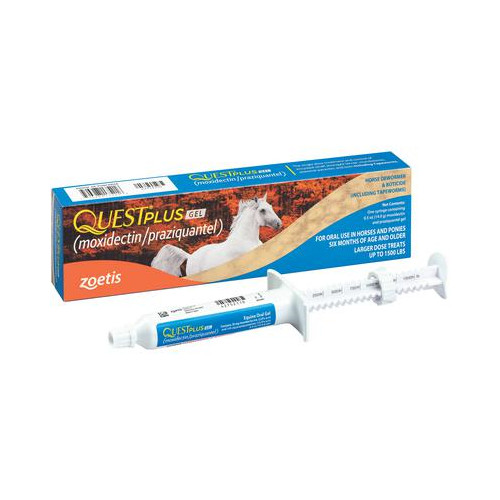 Quest Plus Horse Wormer & Boticide Equine Paste 0.5 oz