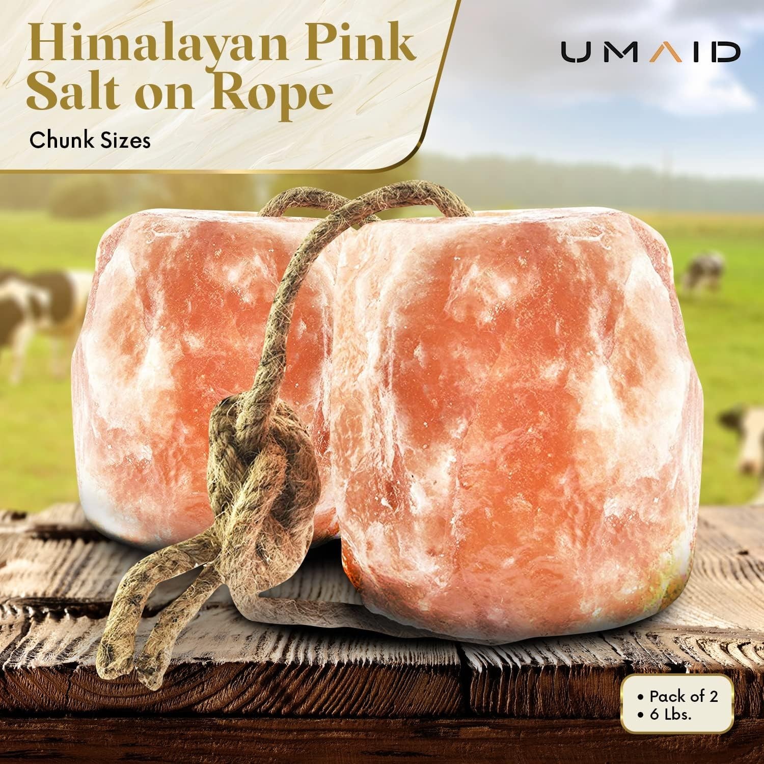 Himalayan Salt Lick 6 lbs on Rope for Horses Deer Goats Livestock 2 Pack
