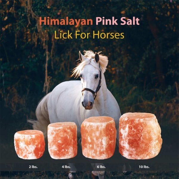 Focus Nutrition 9 Pack of 2lbs Natural Mineral Himalayan Salt Block Salt Lick.