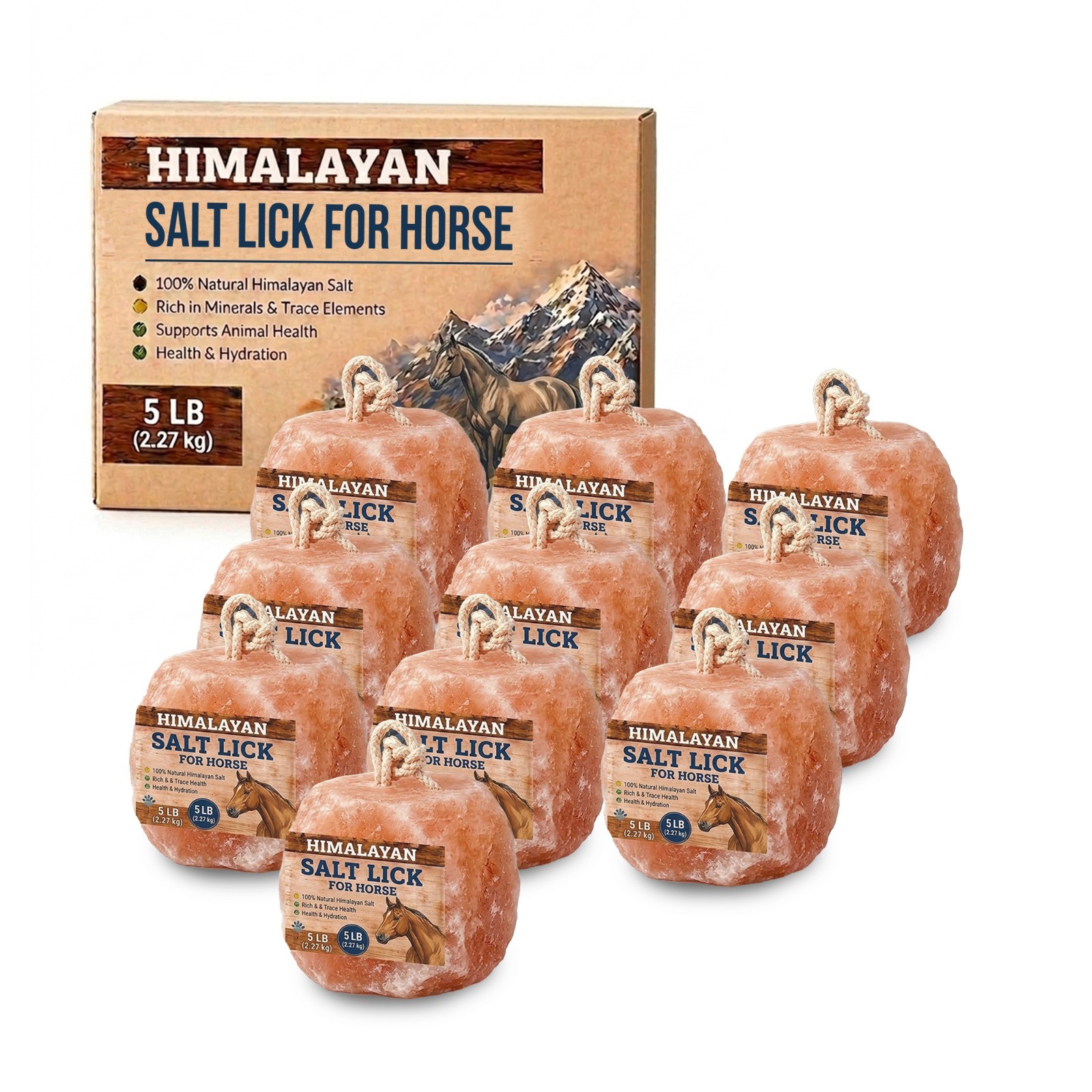Himalayan Salt Lick for Horses with Rope 5 lb Salt Block for Horse Pack of 10