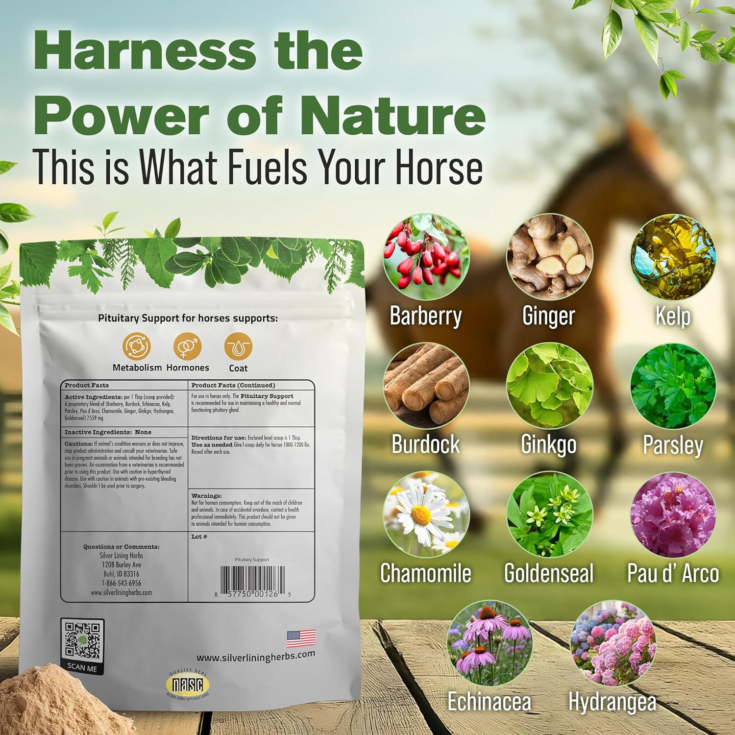 Pituitary Support for Horses – Herbal Equine Supplement for Pituitary, Endocrine