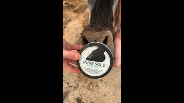 Natural Hoof Clay Treatment for Thrush, White Line & Cracks – 8 oz. Hoof Care Mu