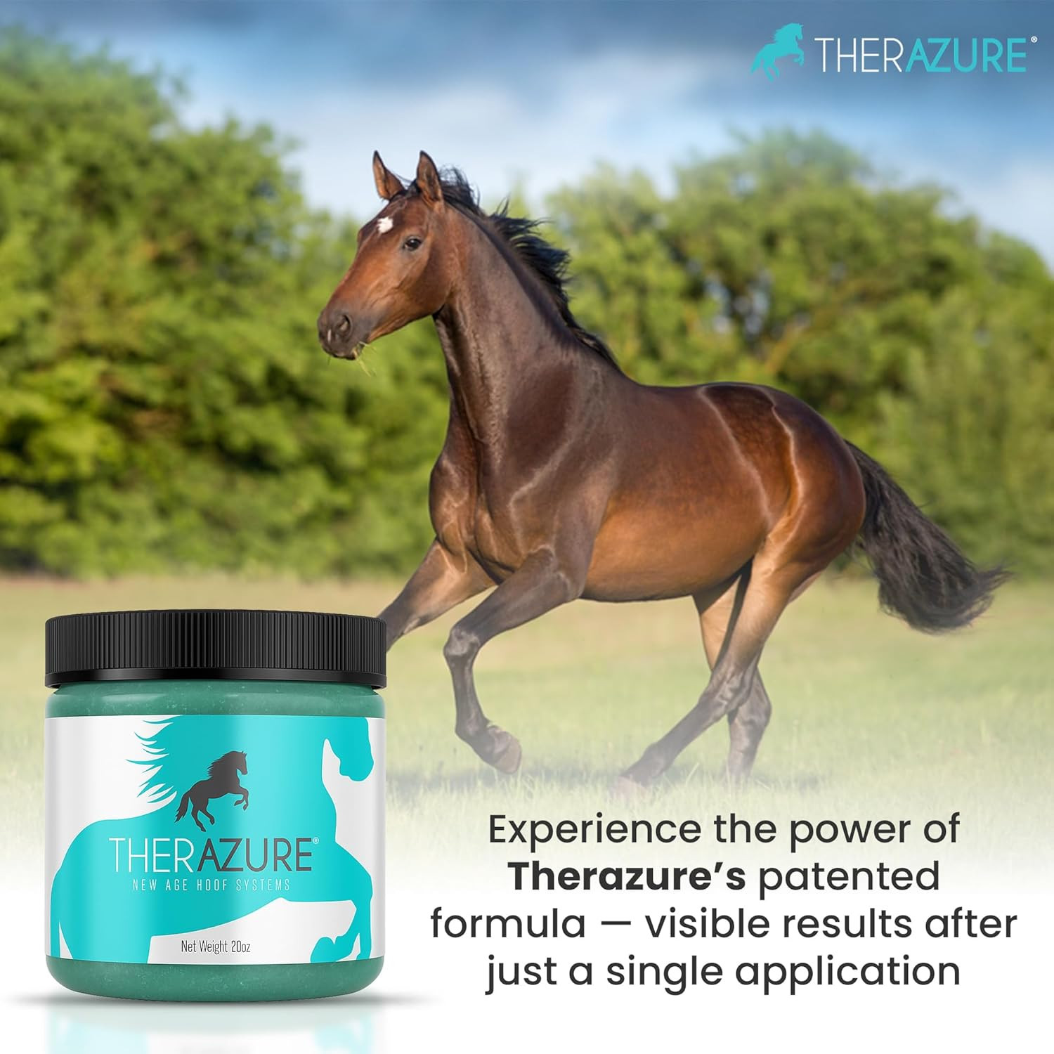 Horse Hoof Thrush Treatment Clay and White Line Equine Care: Effective on Horses