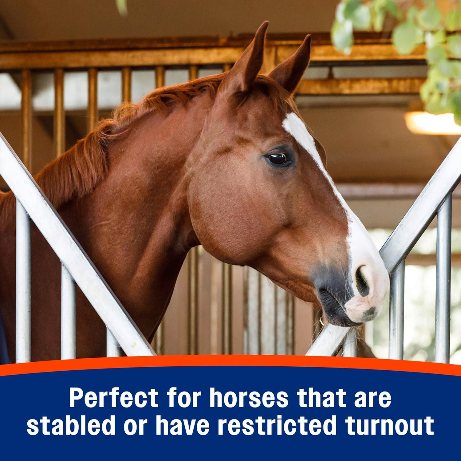 Cough Free Horse Supplement Pellets, Respiratory Support for Seasonal Allergies,