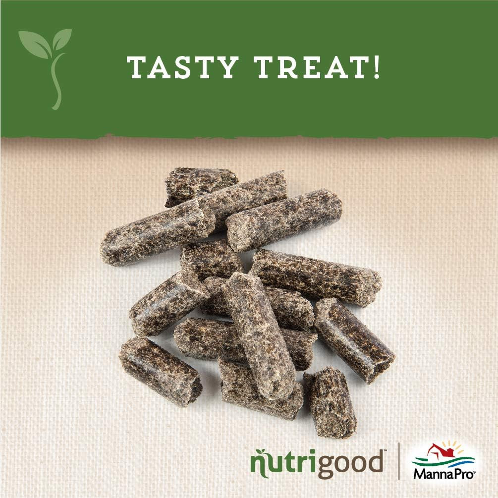 Nutrigood Low-Sugar Horse Treats – Apple Flavor, Healthy Natural Reward for Hors