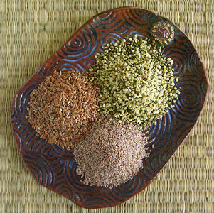 Herbs for horses – Whole Horse Antioxidant Omega Mix #2