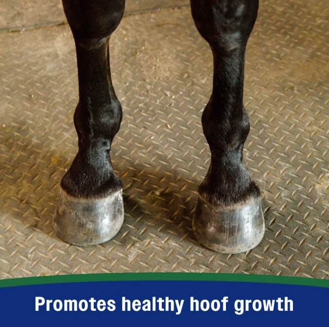 Farnam Horseshoer’s Secret Pelleted Hoof Supplement 11 pounds