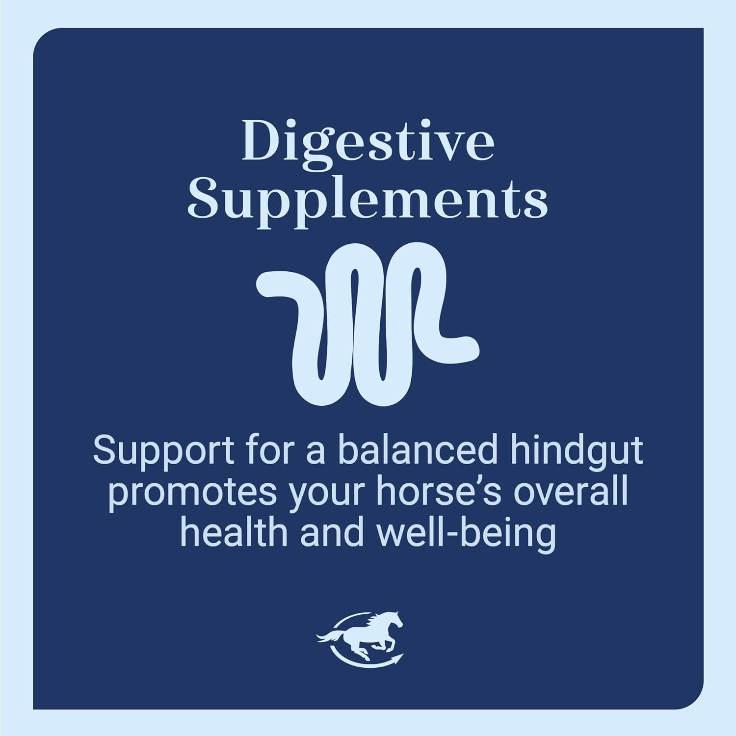 Gut™ Powder | Healthy Gut Probiotics for Horses | Equine Prebiotic & Probiotic P