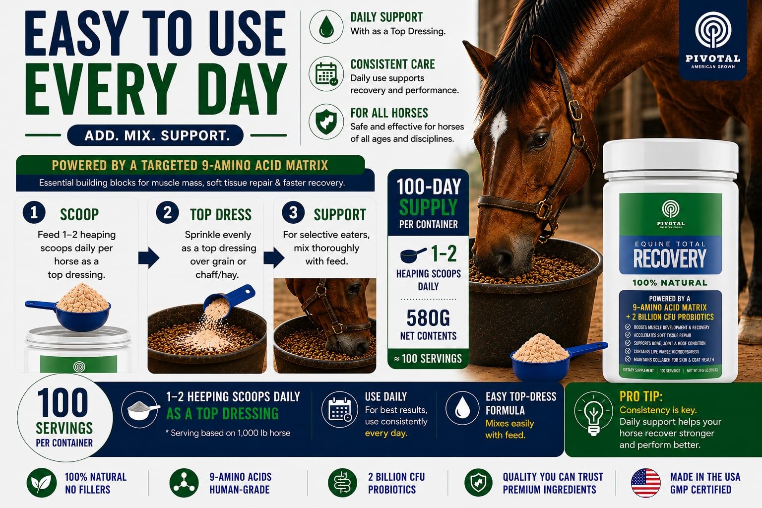 Feeds Equine Total Recovery – 9 Amino Acids & Probiotics for Horses | Muscle …