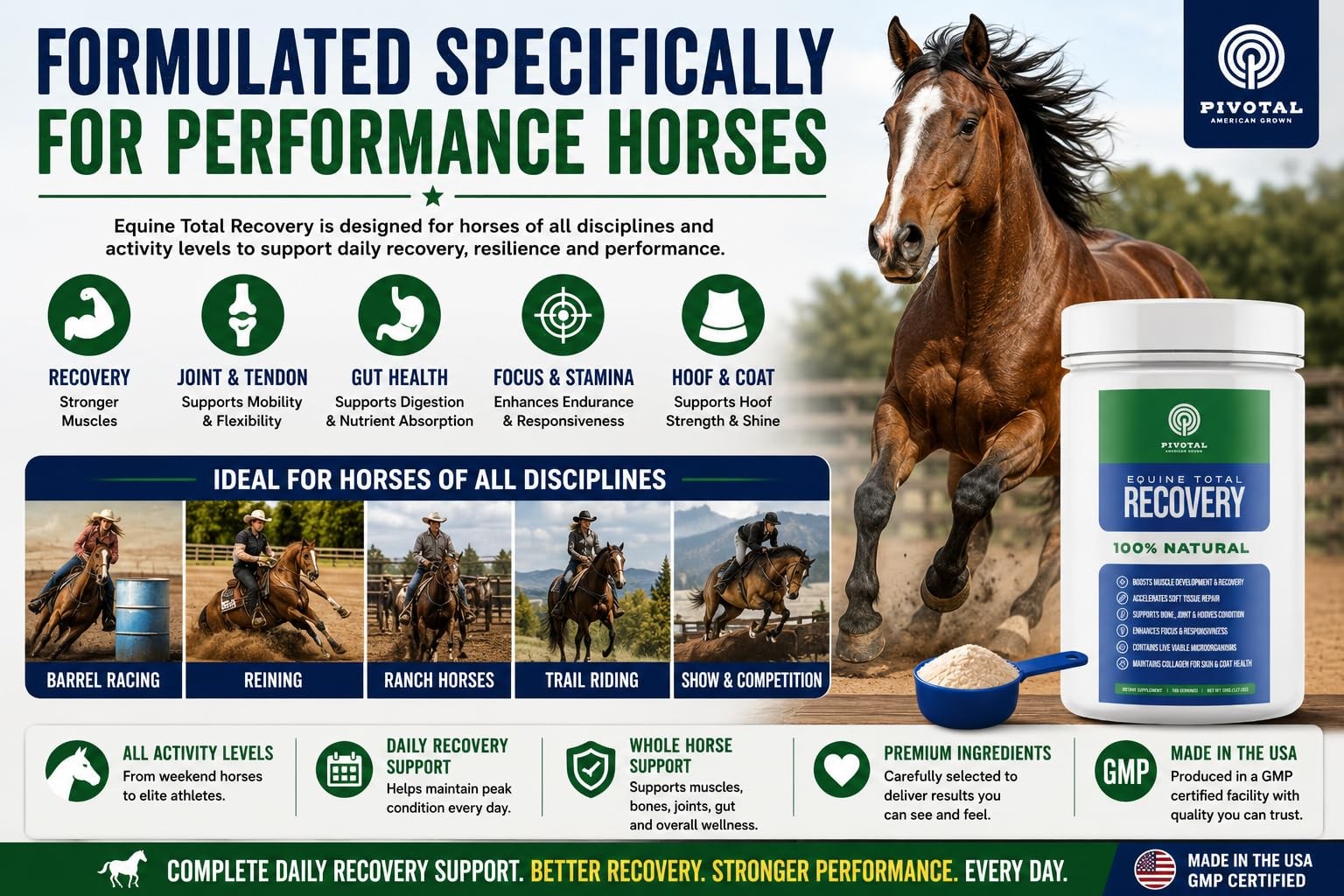 Feeds Equine Total Recovery – 9 Amino Acids & Probiotics for Horses | Muscle …