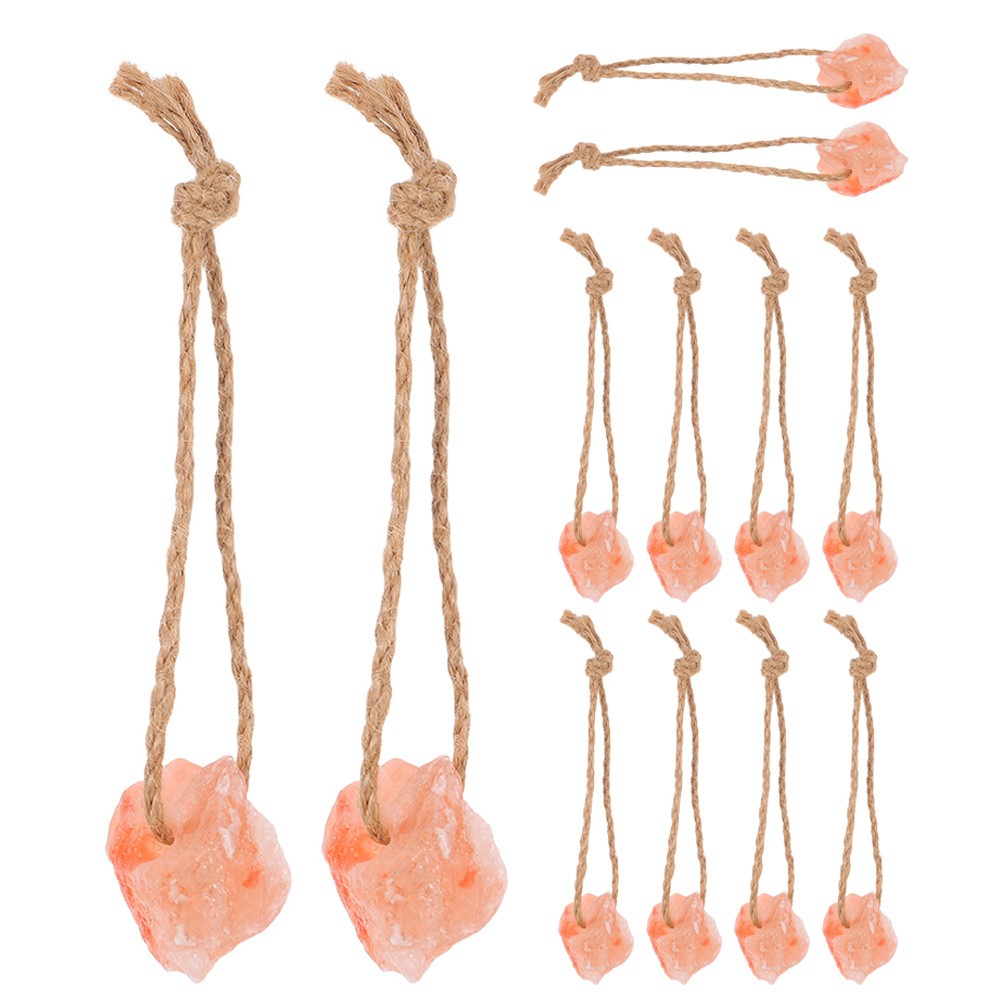 12 Pcs Cattle Mineral Lick Block Alpaca Goat Salt Blocks for Chew Toys Rope