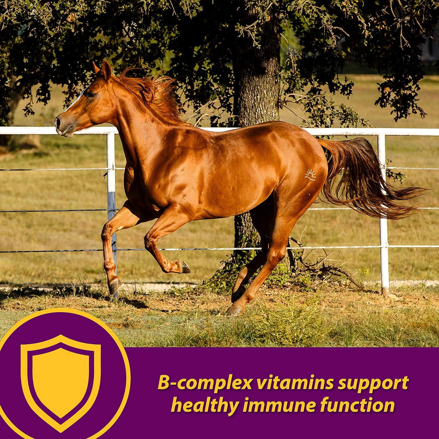 Farnam Red Cell Pellets, Vitamin-Iron-Mineral Supplement for Horses, Helps F…