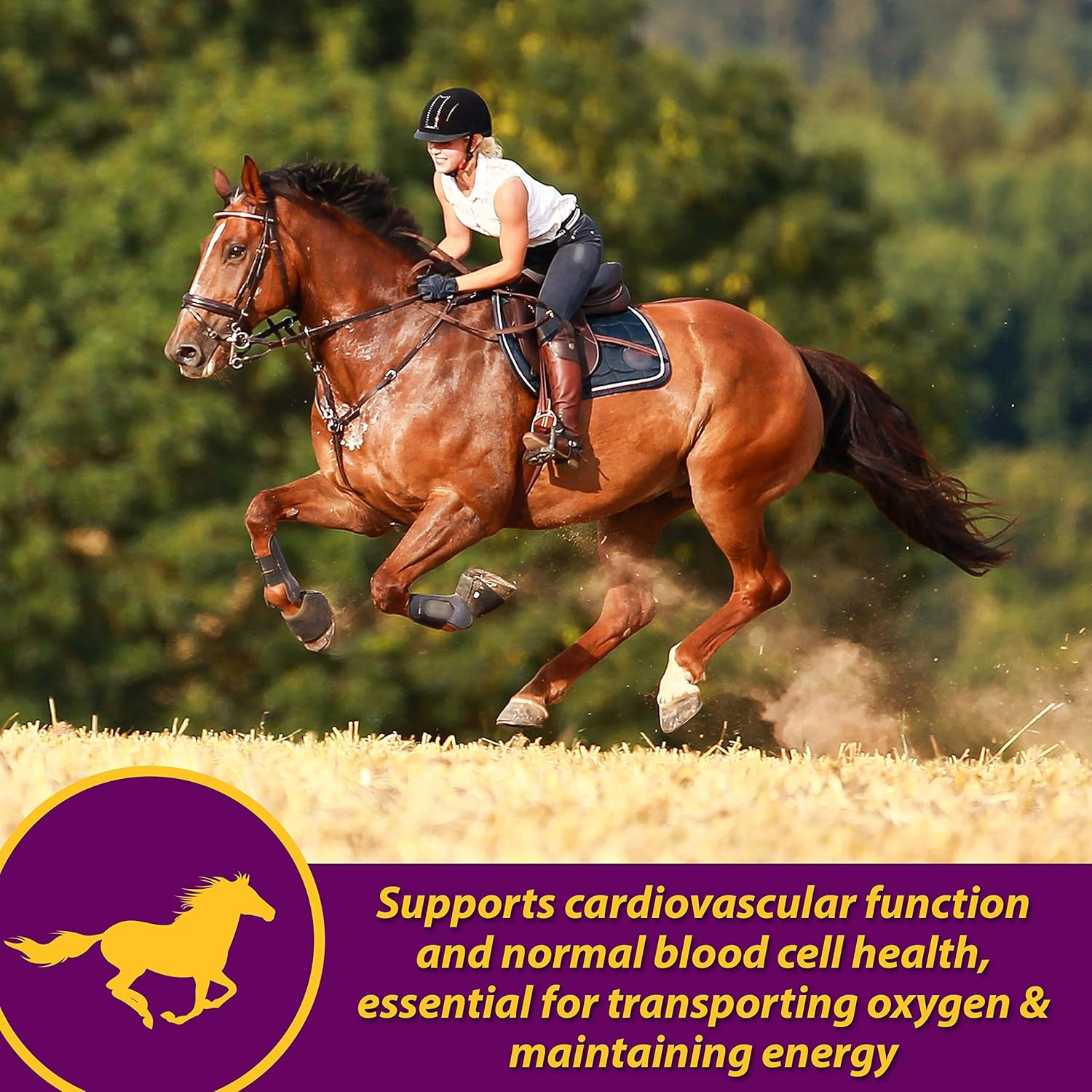 Farnam Red Cell Pellets, Vitamin-Iron-Mineral Supplement for Horses, Helps F…