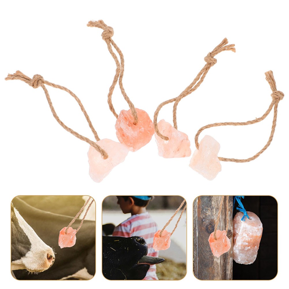 6 Pcs Deer Mineral Block Small Pets Salt Alpaca Livestock