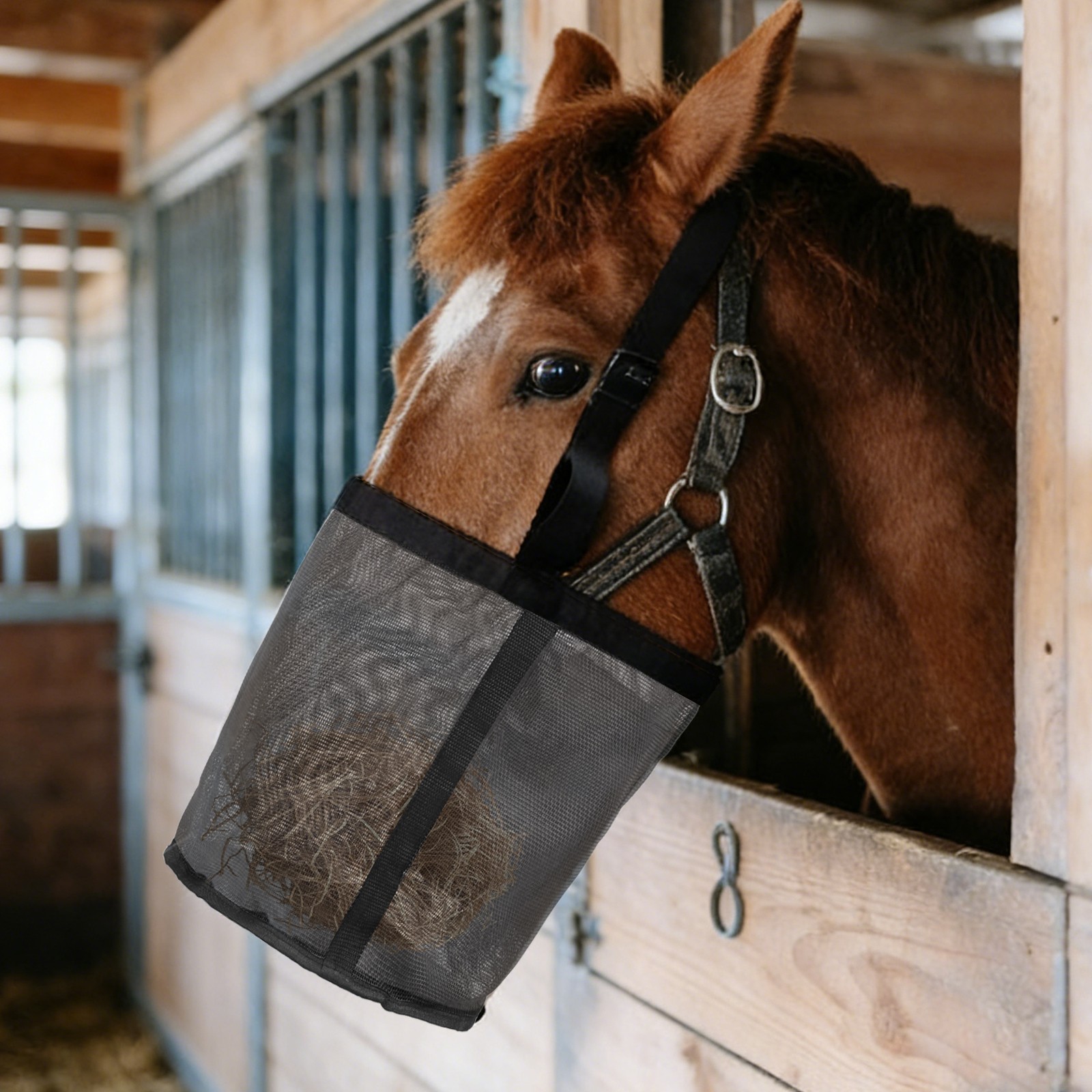 2Pcs Horse Feed Bag Black/Blue S Intended for Horse Feeding Grain