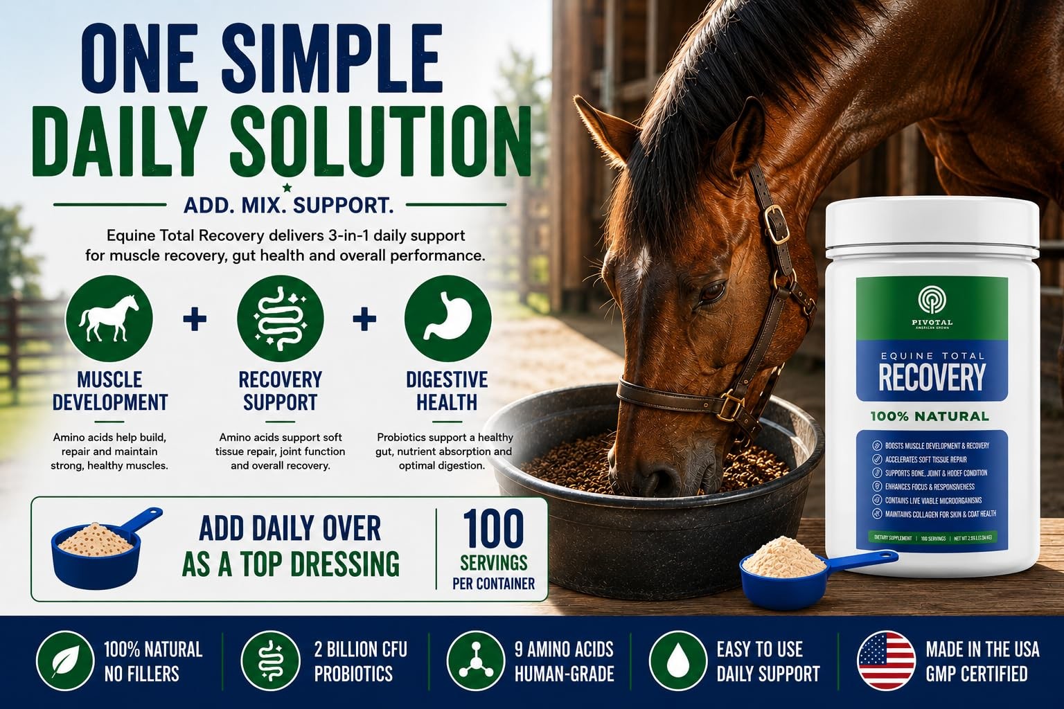 Feeds Equine Total Recovery – 9 Amino Acids & Probiotics for Horses | Muscle …