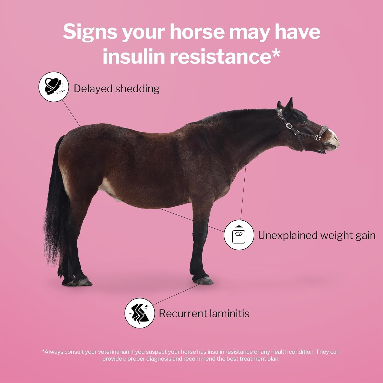 MetaStable Pellets for Horses Support for Laminitis Insulin Resistance Cushing’s