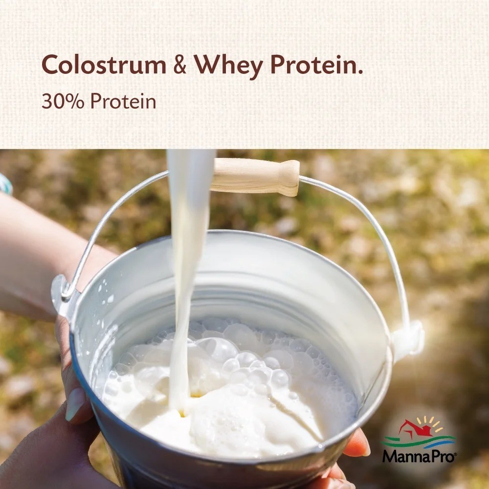 Fresh Goat Colostrum Powder for Newborn Kids 8 oz Immune Support Supplement