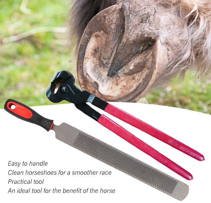 Professional Hoof Trimming & Rasp Tools for Horses, Durable Carbon Steel Farr…