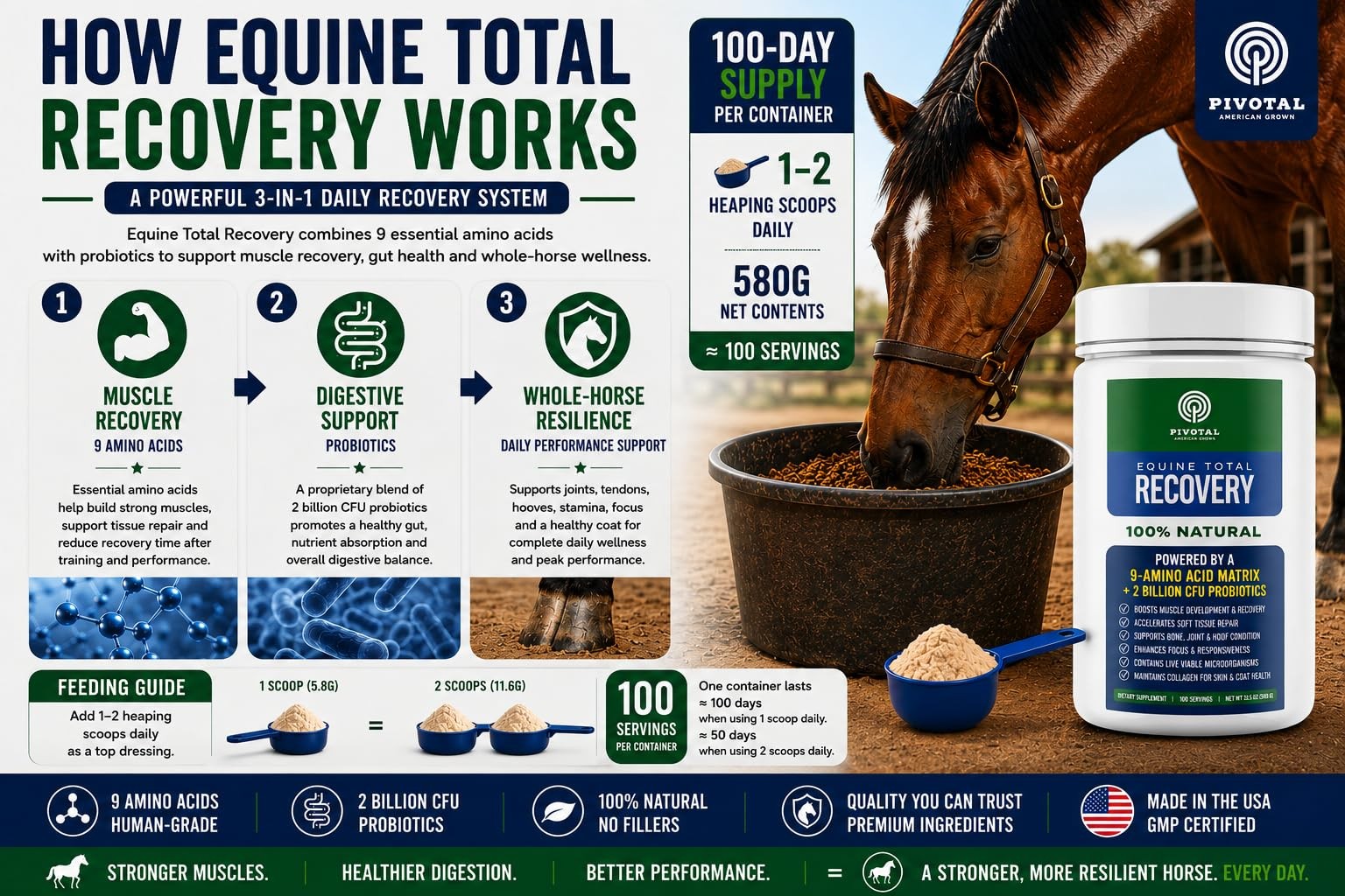 Feeds Equine Total Recovery – 9 Amino Acids & Probiotics for Horses | Muscle …