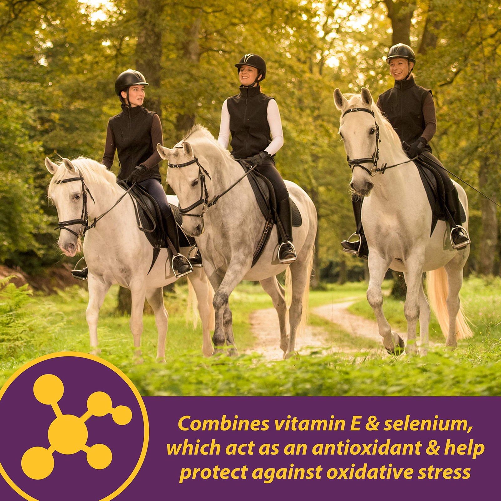 Horse Health Vita E & Selenium Crumbles Vitamin Supplement, Supports Optimal …