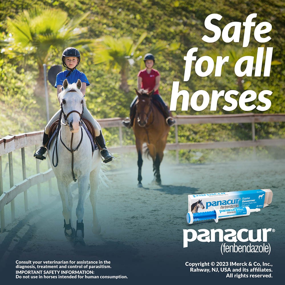 Panacur Equine Dewormer, 25 gram Paste 10%