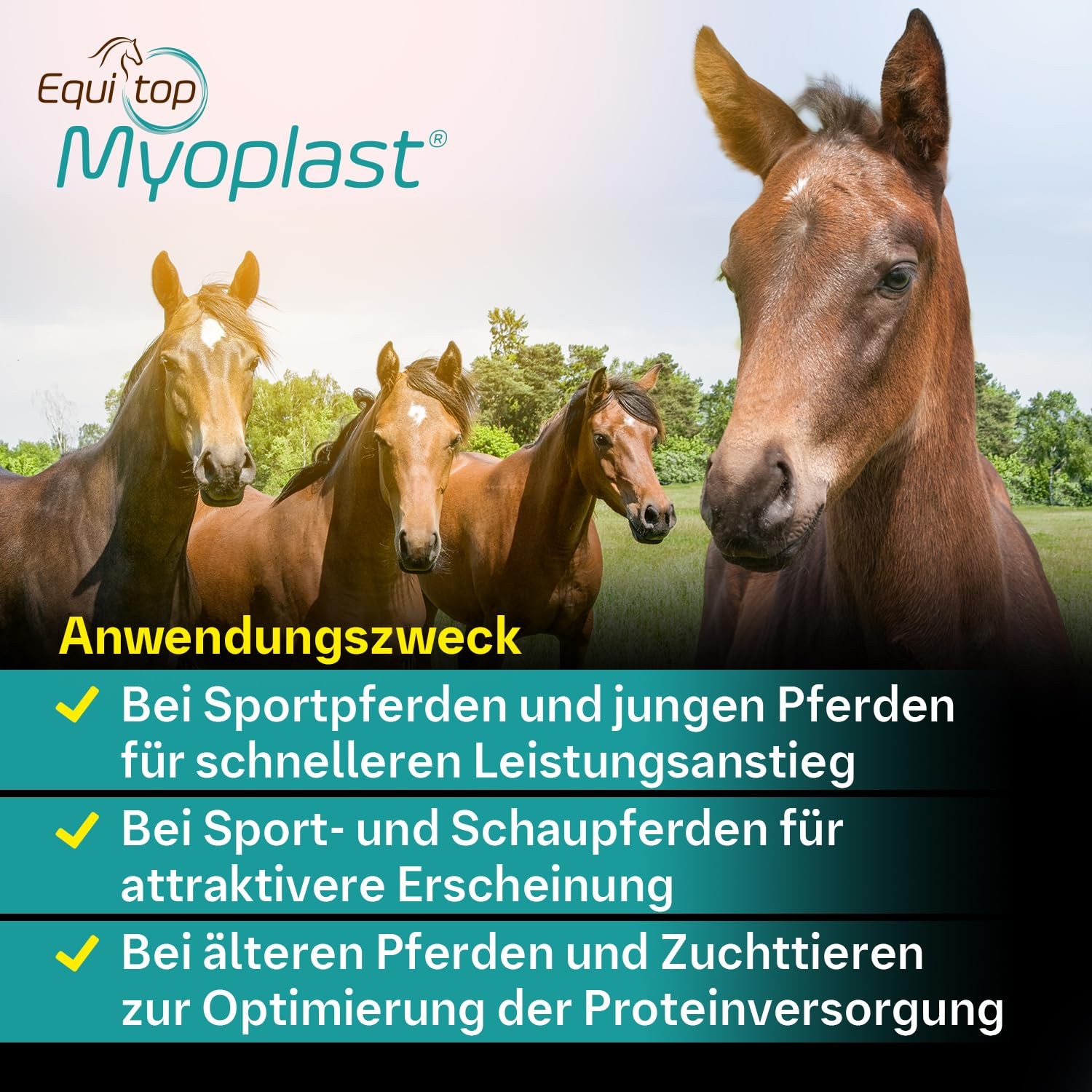 Myoplast Supplement for Horses 1.5kg