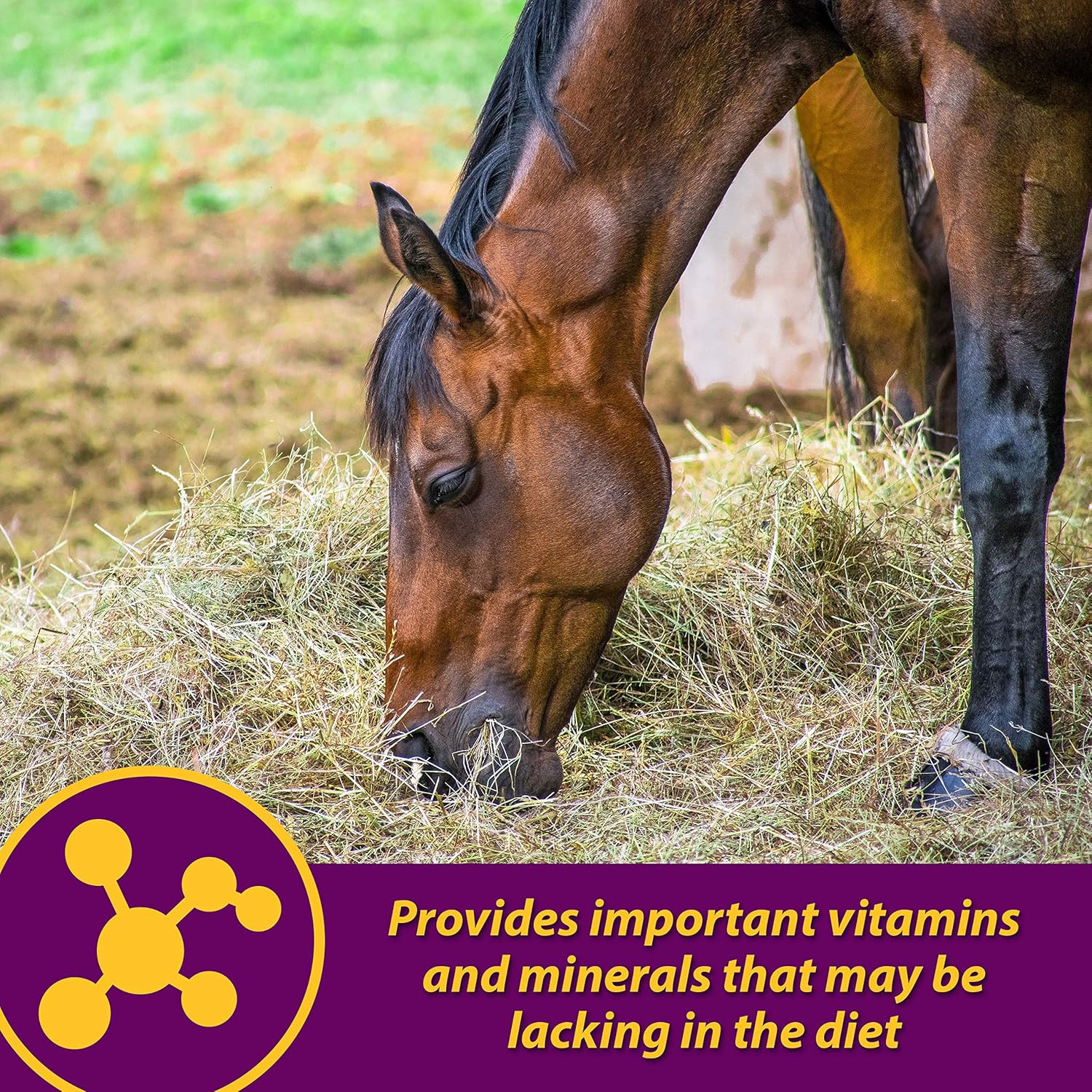 Farnam Red Cell Pellets, Vitamin-Iron-Mineral Supplement for Horses, Helps F…
