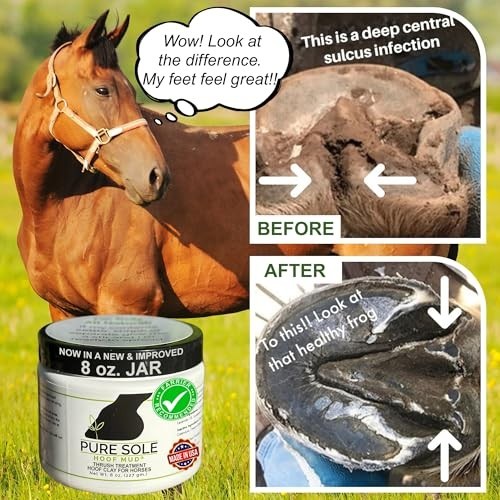 Natural Hoof Clay Treatment for Thrush, White Line & Cracks – 8 oz. Hoof Care Mu