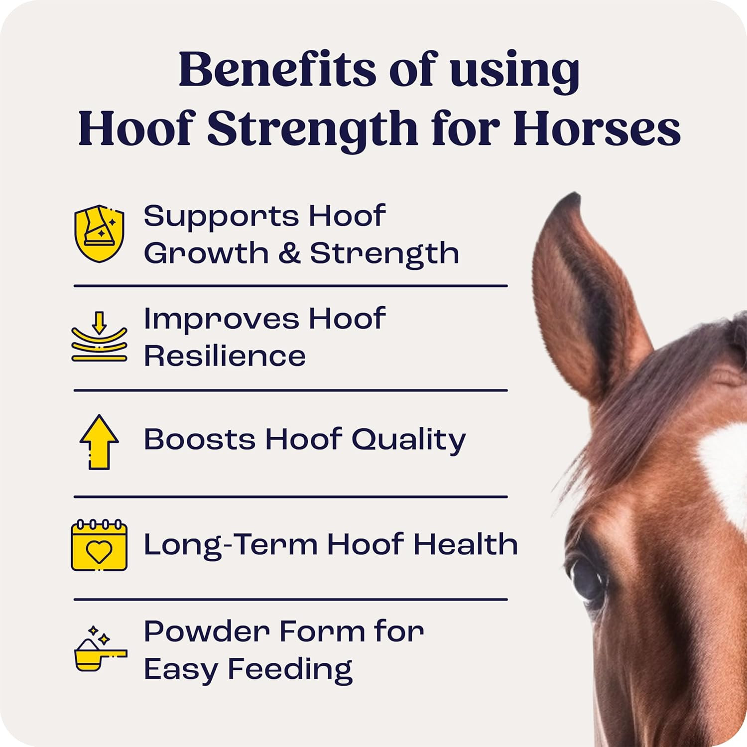 Summit Equine Hoof Strength Powder for Horses, Promotes Healthy Hooves with Biot