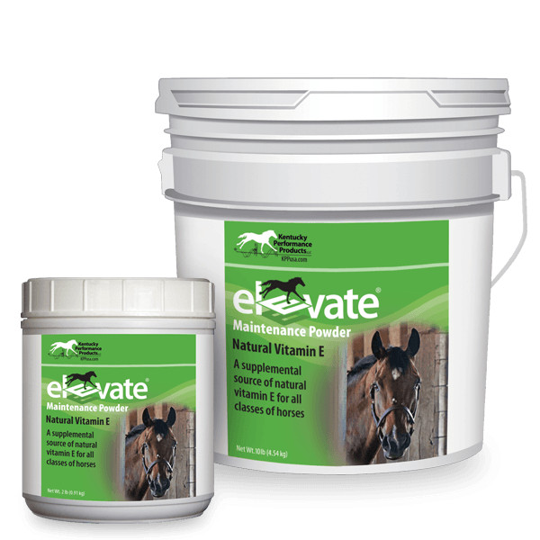 Kentucky Performance Elevate Maintenance Powder Natural Vitamin E Supplement 10#