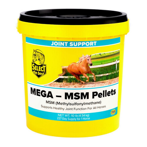 Mega-Msm Horse Joint Supplement 10 Lbs