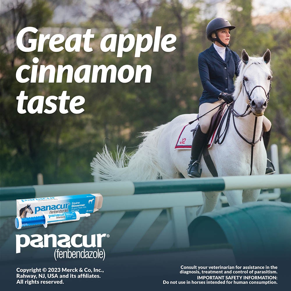Panacur Equine Dewormer, 25 gram Paste 10%