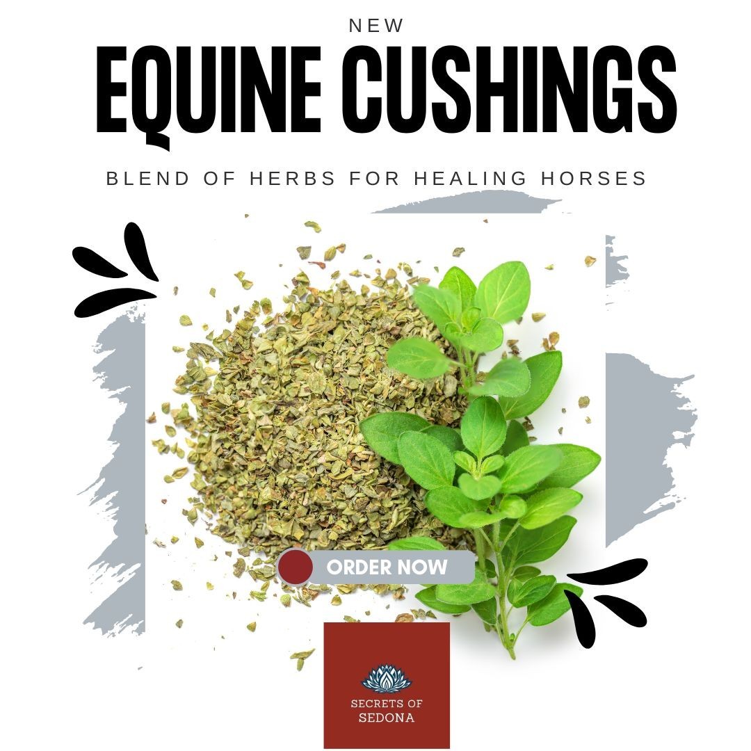 Equine Herbs: Cushings Herbal Blend for Horses