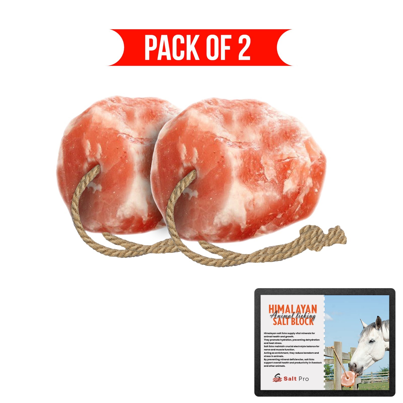 Salt Lick, Himalayan Animal Salt Lick 4-6lb On Rope Pack of 2 For Horses, Deer